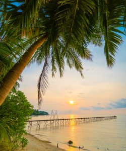 Beautiful paradise island with beach and sea around coconut palm tree at sunset time - Holiday Vacation and Travel concept