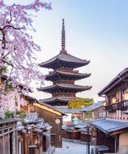 Japan - March 30, 2023 : Scenic landscape of Pagoda at Hokanji Temple and Pink Sakura in Springtime